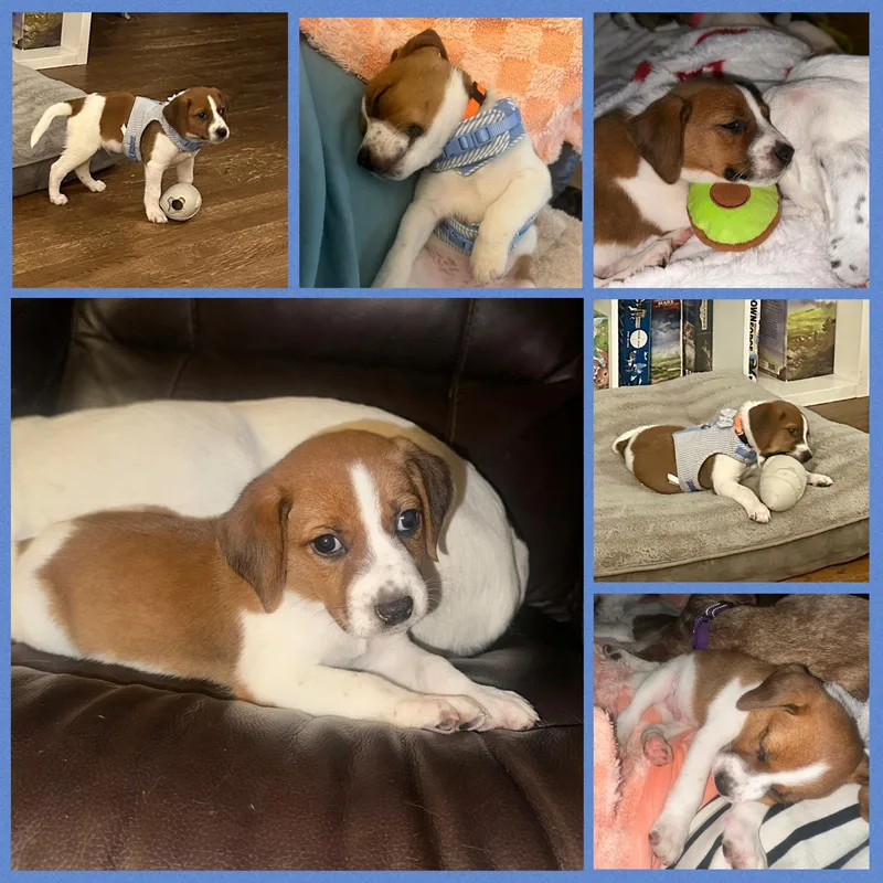 Baby Watson thumbnail 6