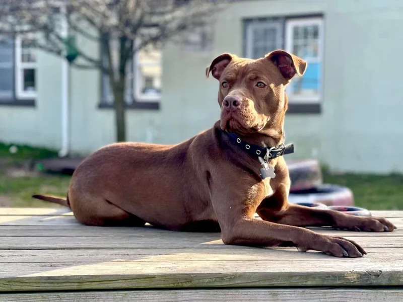 Tootsie Roll thumbnail 5