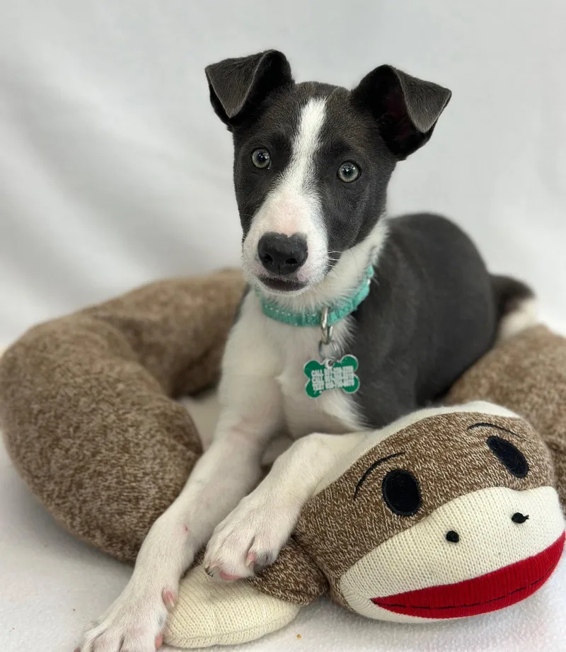 Treasure thumbnail 2