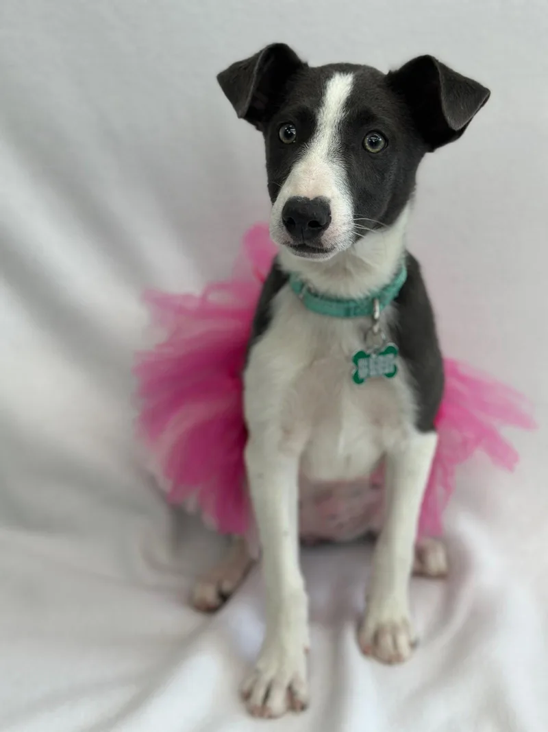 Treasure thumbnail 3