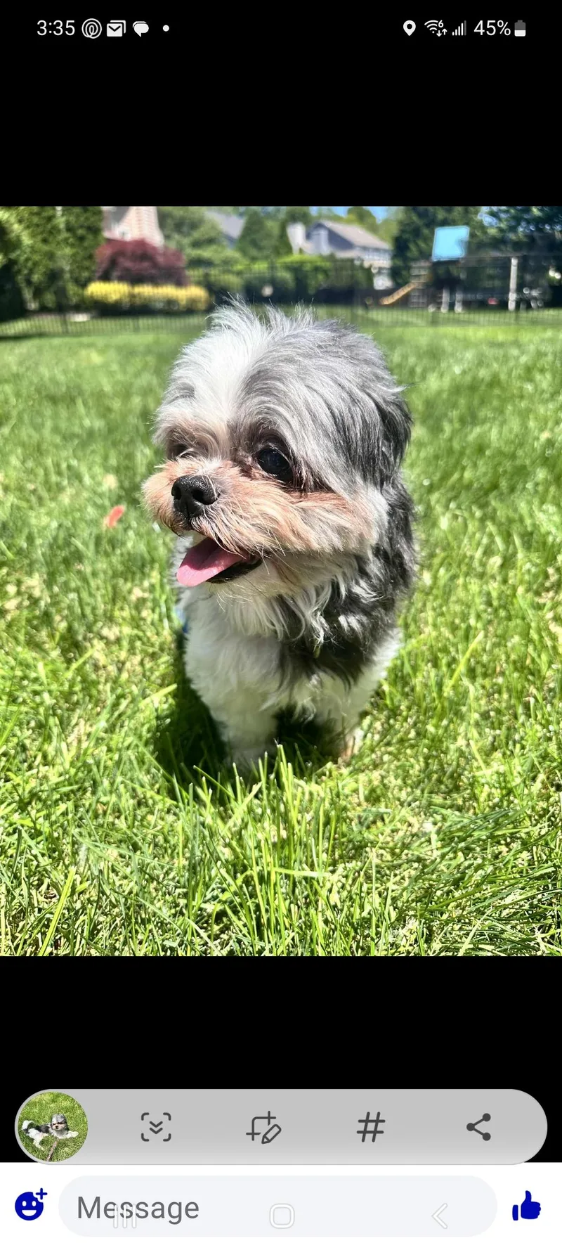 Pepper thumbnail 2