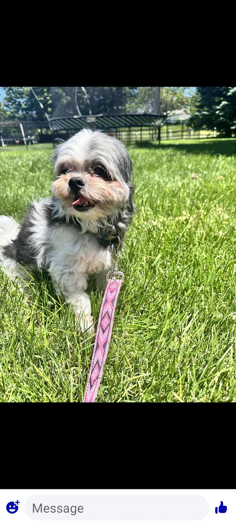 Pepper thumbnail 3