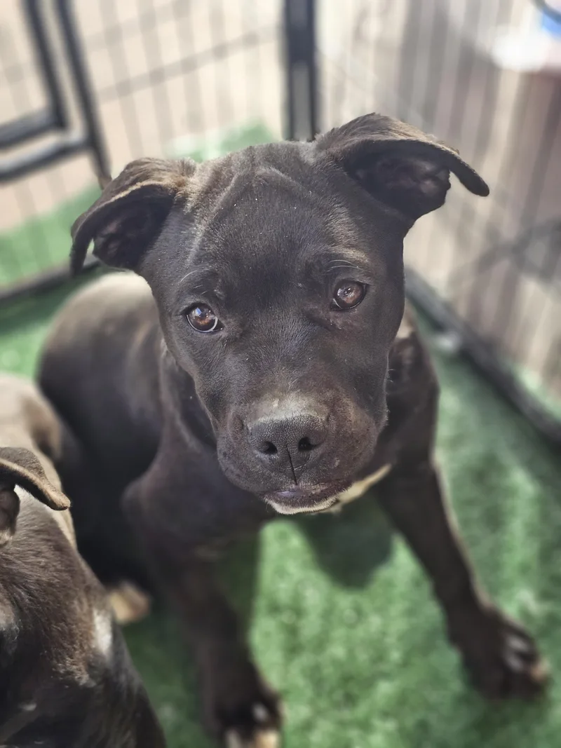 Guinness thumbnail 5