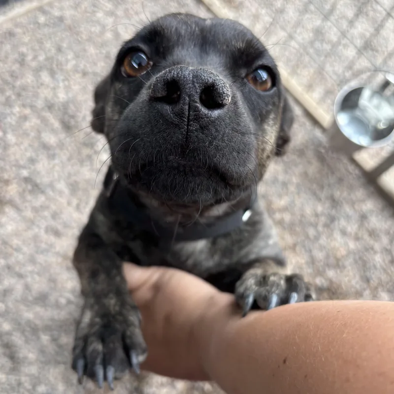 Woofie Goldberg thumbnail 2