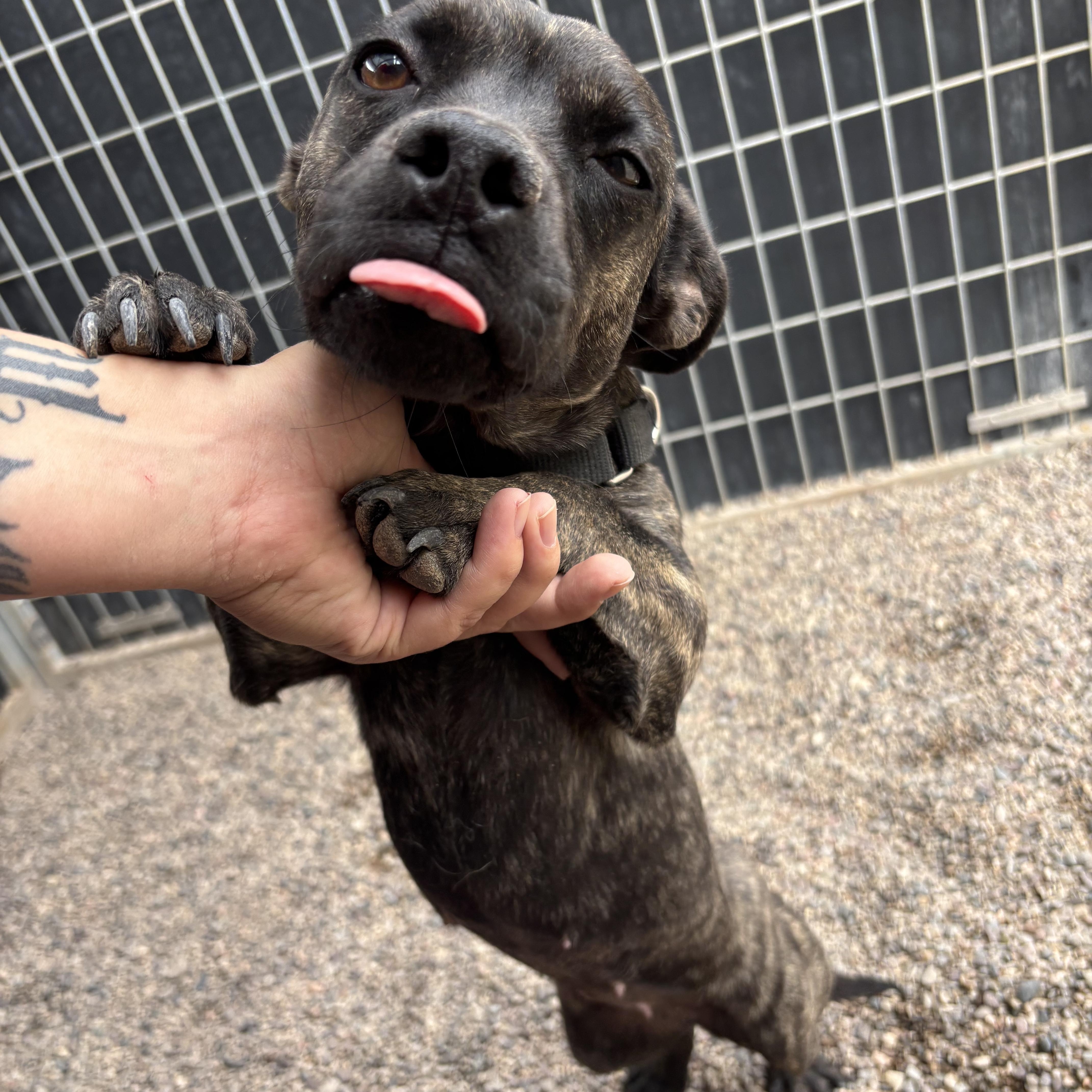 Woofie Goldberg thumbnail 3