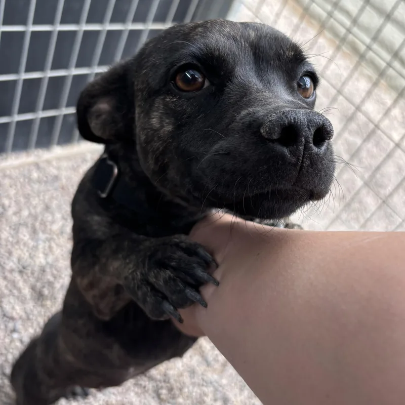 Woofie Goldberg thumbnail 4