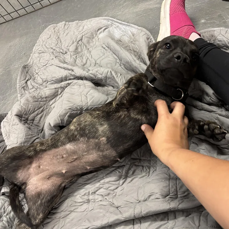 Woofie Goldberg thumbnail 6