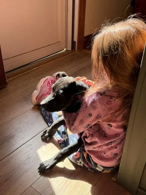 Nugget Cheese  Local thumbnail 6