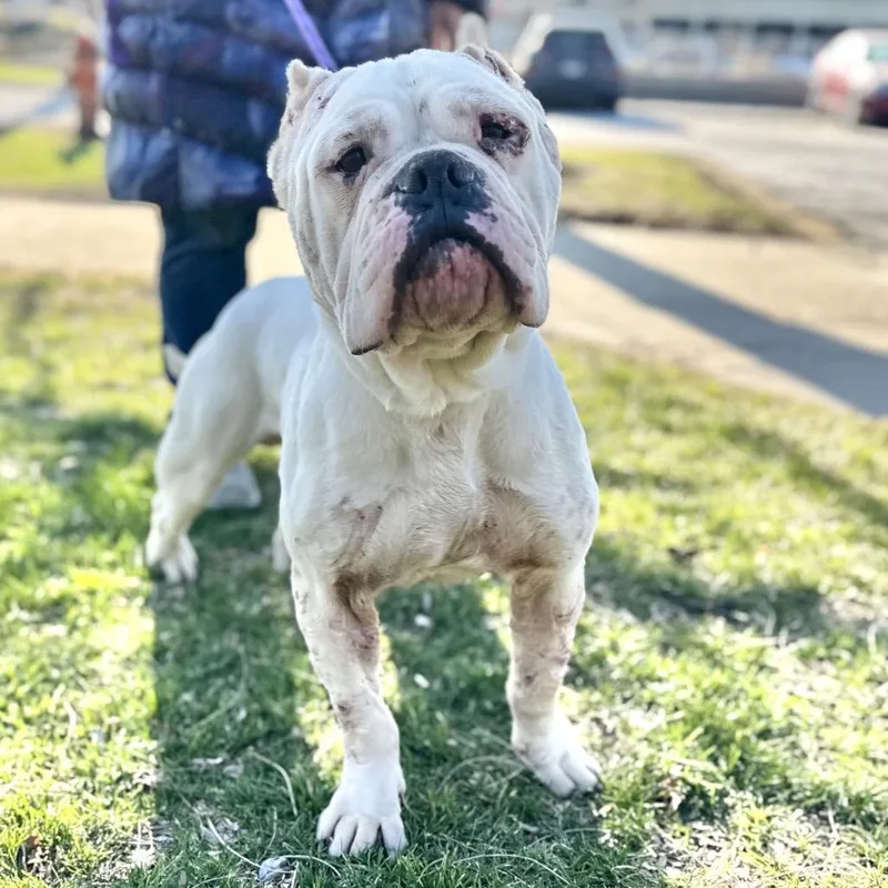 Brennan ~ Coming Soon!!!