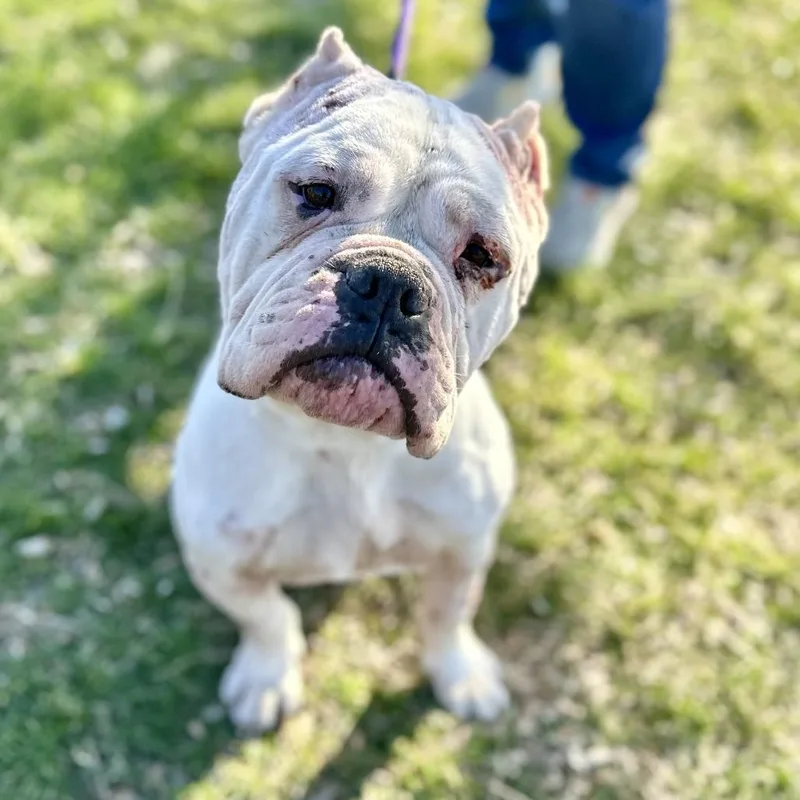 Brennan ~ Coming Soon!!! thumbnail 2