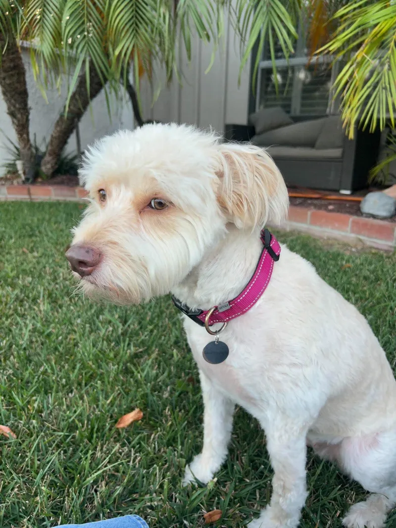 Lola thumbnail 4
