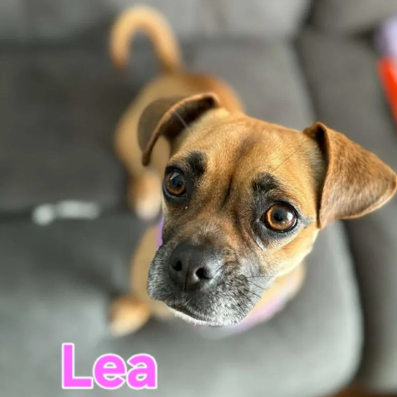 Lea thumbnail 2