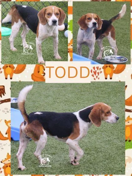 Todd thumbnail 2