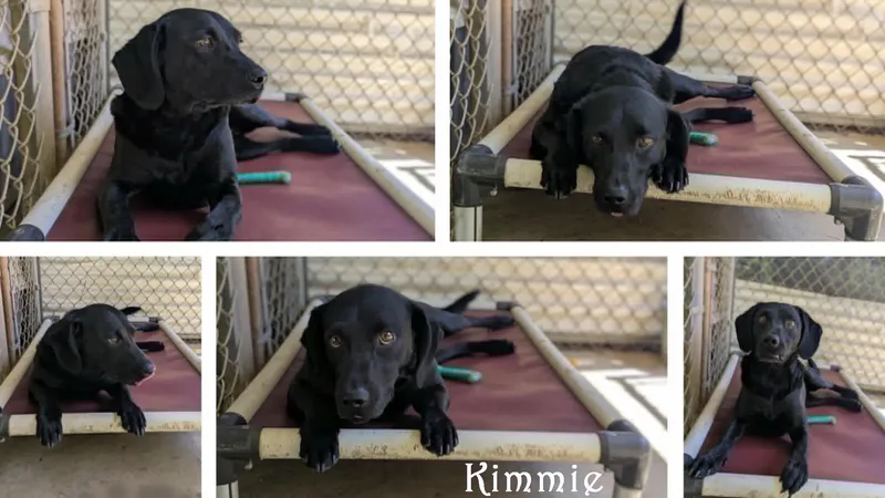 Kimmie thumbnail 3