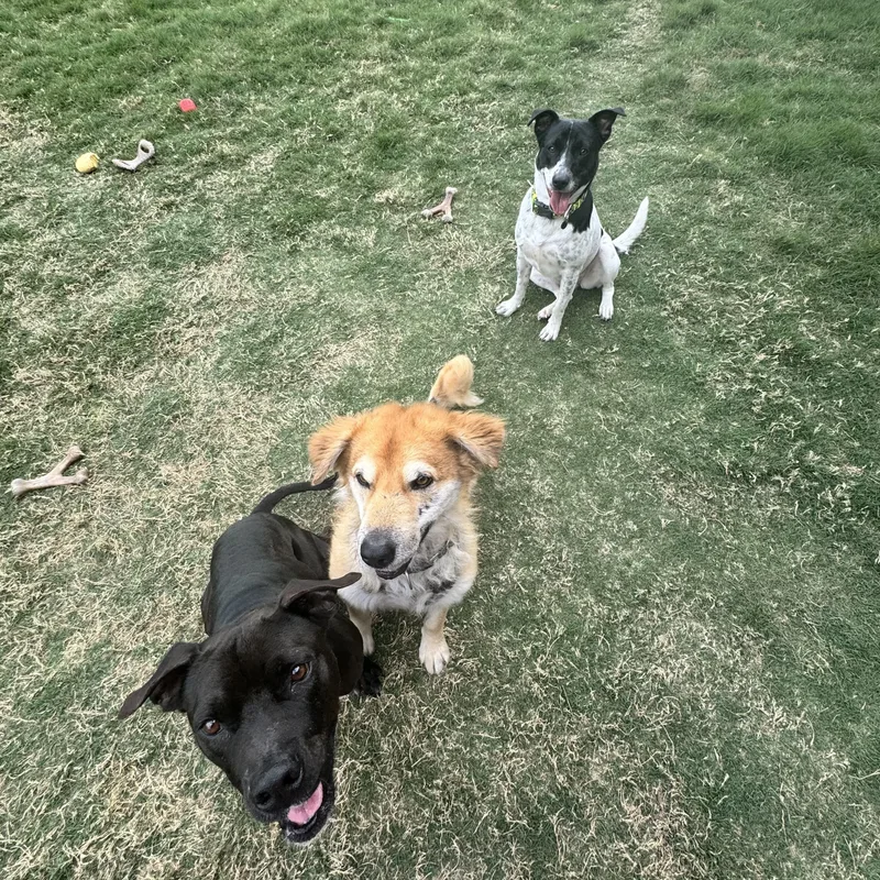 Daisy Sue thumbnail 2