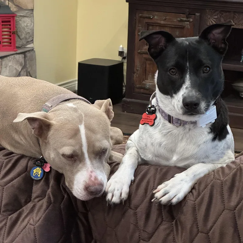 Daisy Sue thumbnail 4