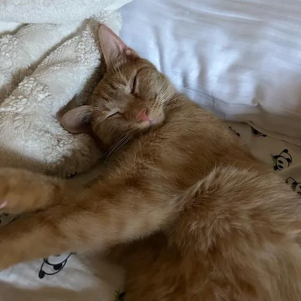 Max