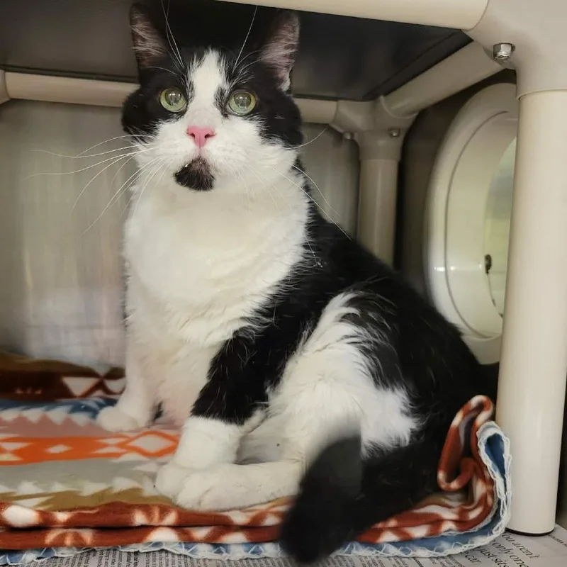 Kiki Ada thumbnail 2