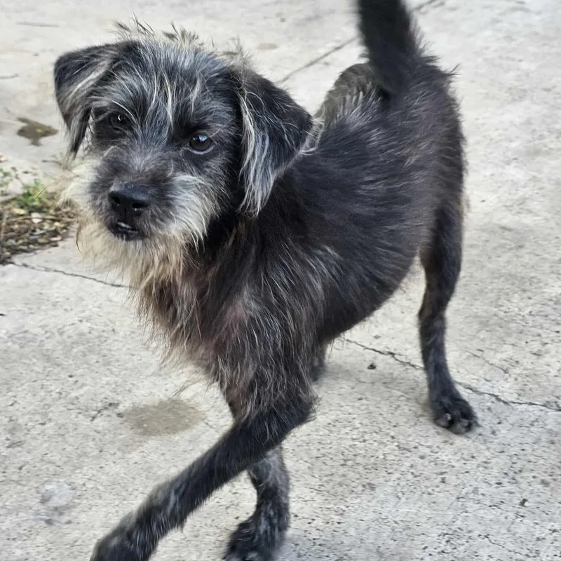 Mcgee & Gibbs thumbnail 2