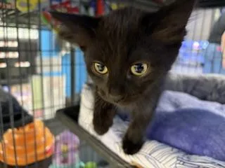 Sally thumbnail 3