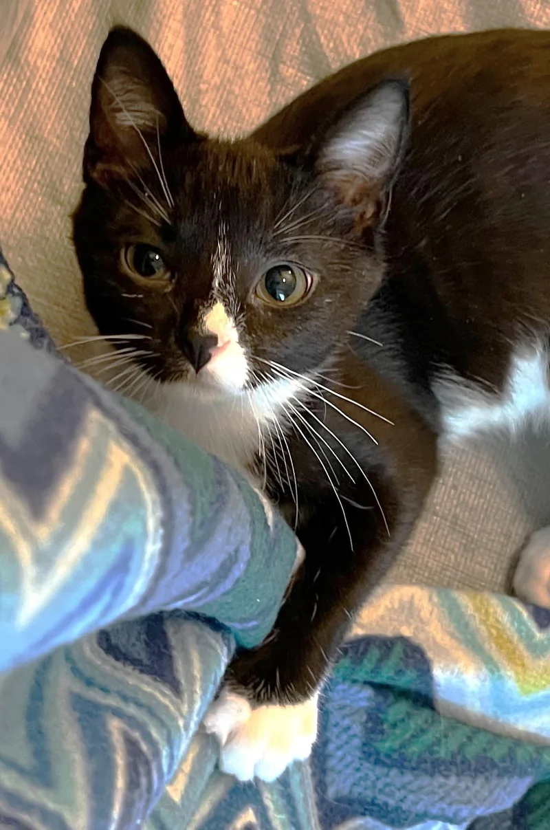 Zora  located at thumbnail 4
