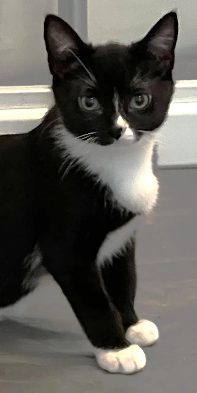 Zora  located at thumbnail 5