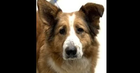 Fanny Lu thumbnail 2