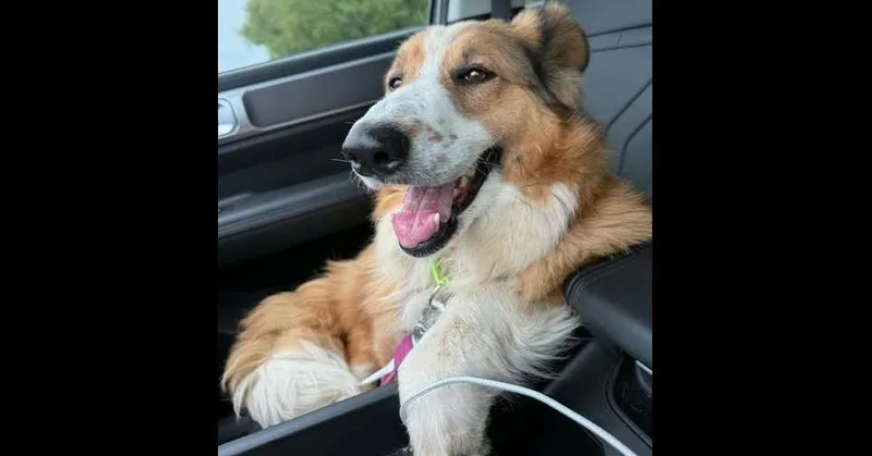 Fanny Lu thumbnail 3