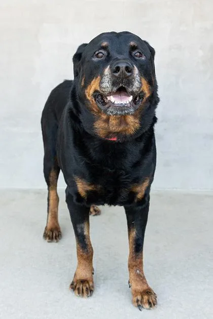 Weiser