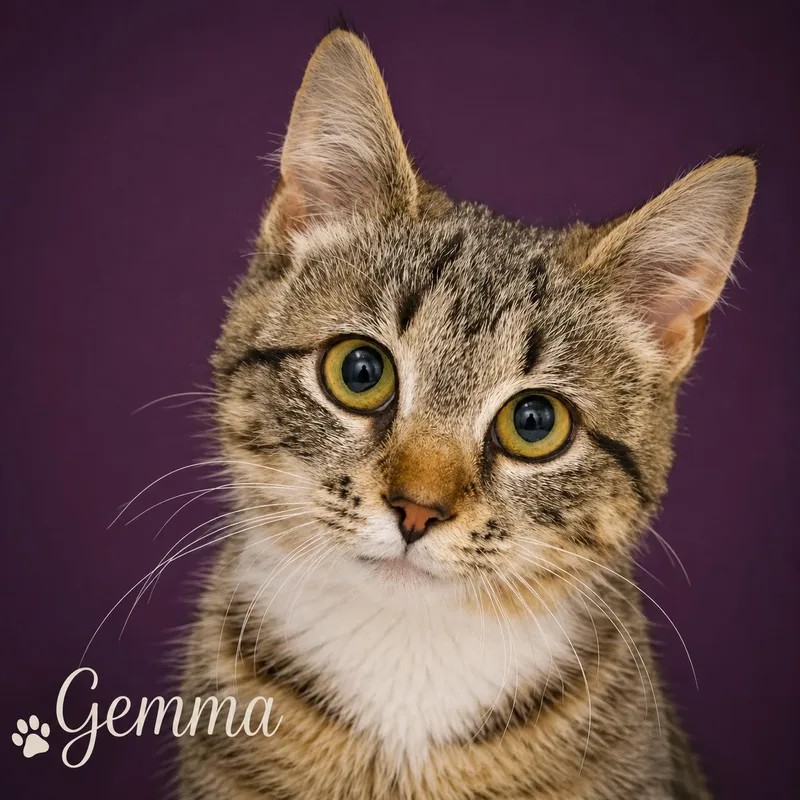 Gemma