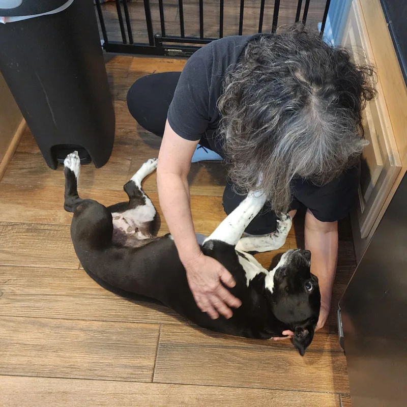 Tallulah thumbnail 3