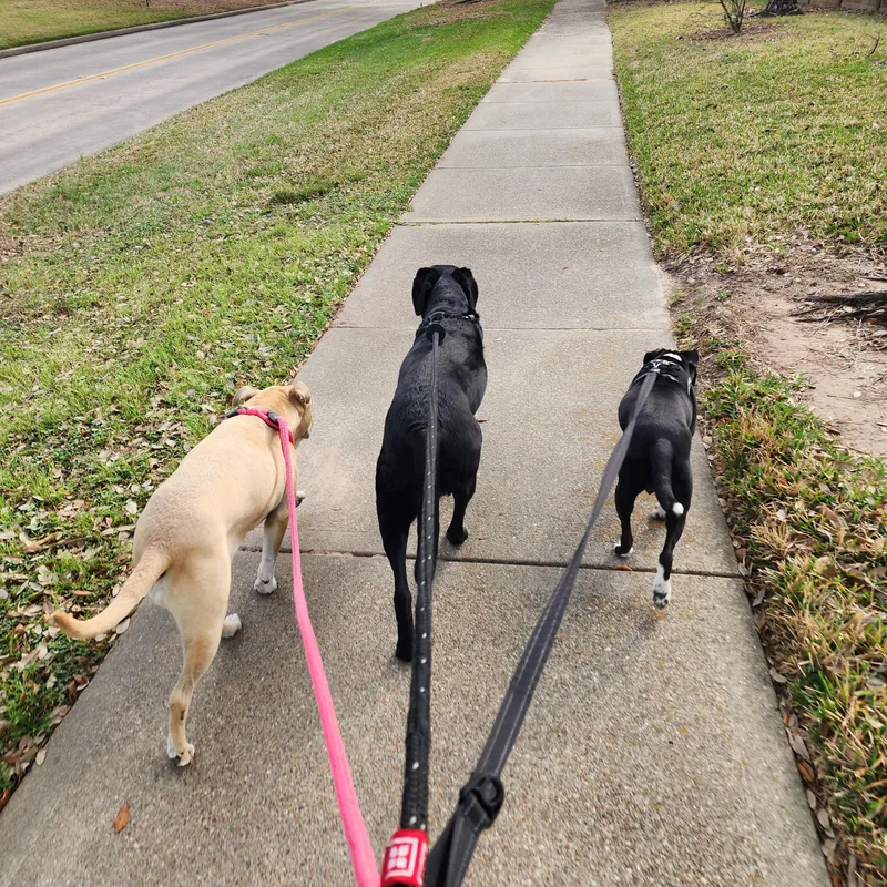 Tallulah thumbnail 4