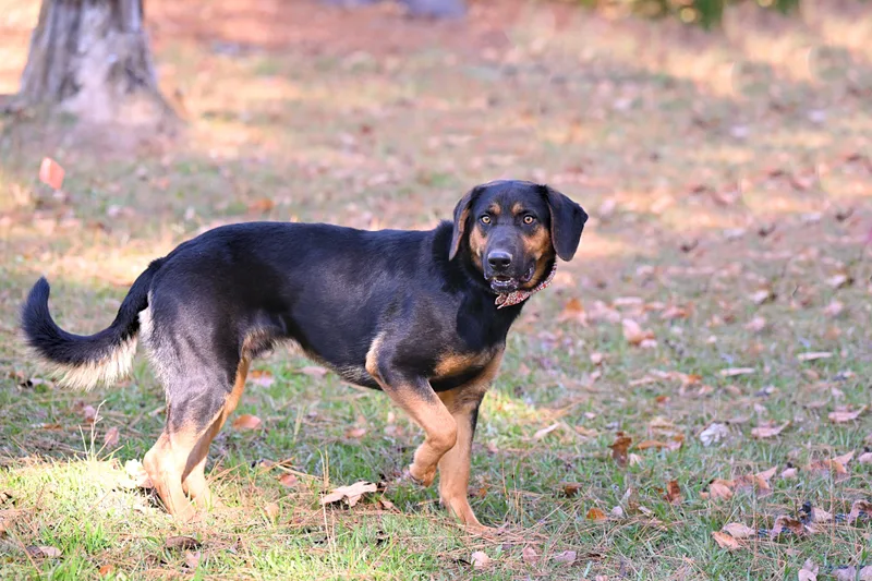 Phillip  Such A thumbnail 3