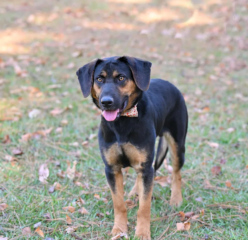 Phillip  Such A thumbnail 5