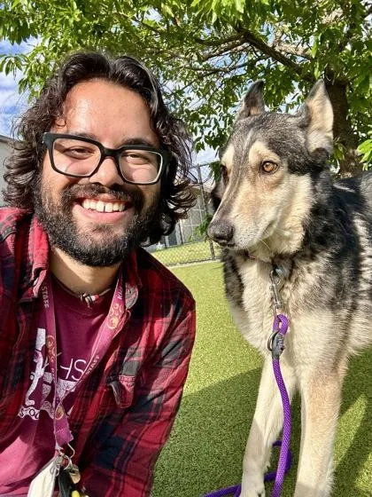 A senior large-sized female Black Mixed Breed dog named Nova for adoption in Wichita, KS