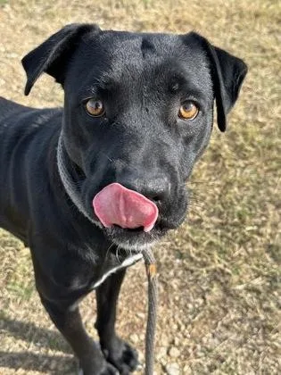 Wednesday thumbnail 2