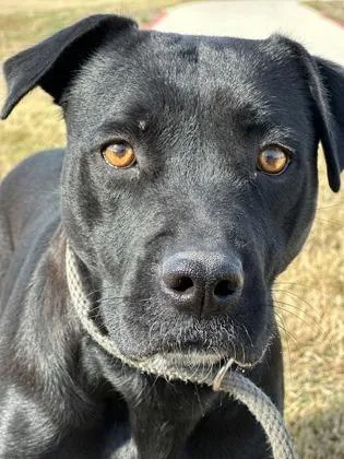 Wednesday thumbnail 3