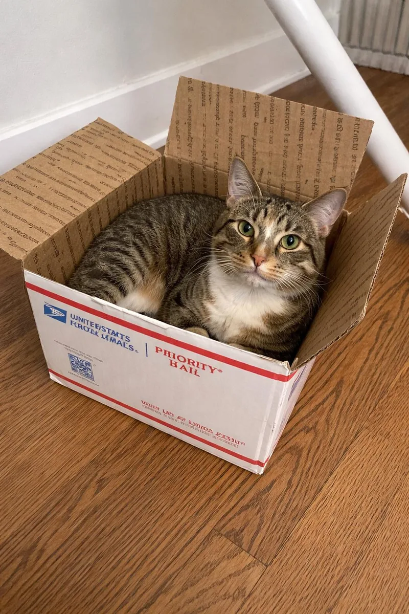 Ghost Pepper thumbnail 2