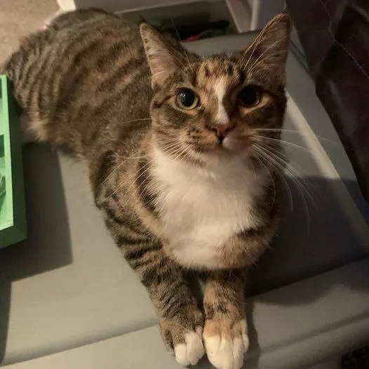 Ghost Pepper thumbnail 3