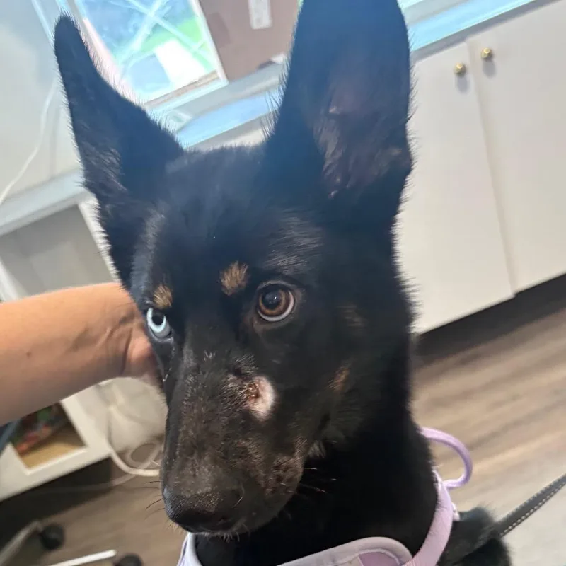 Luna