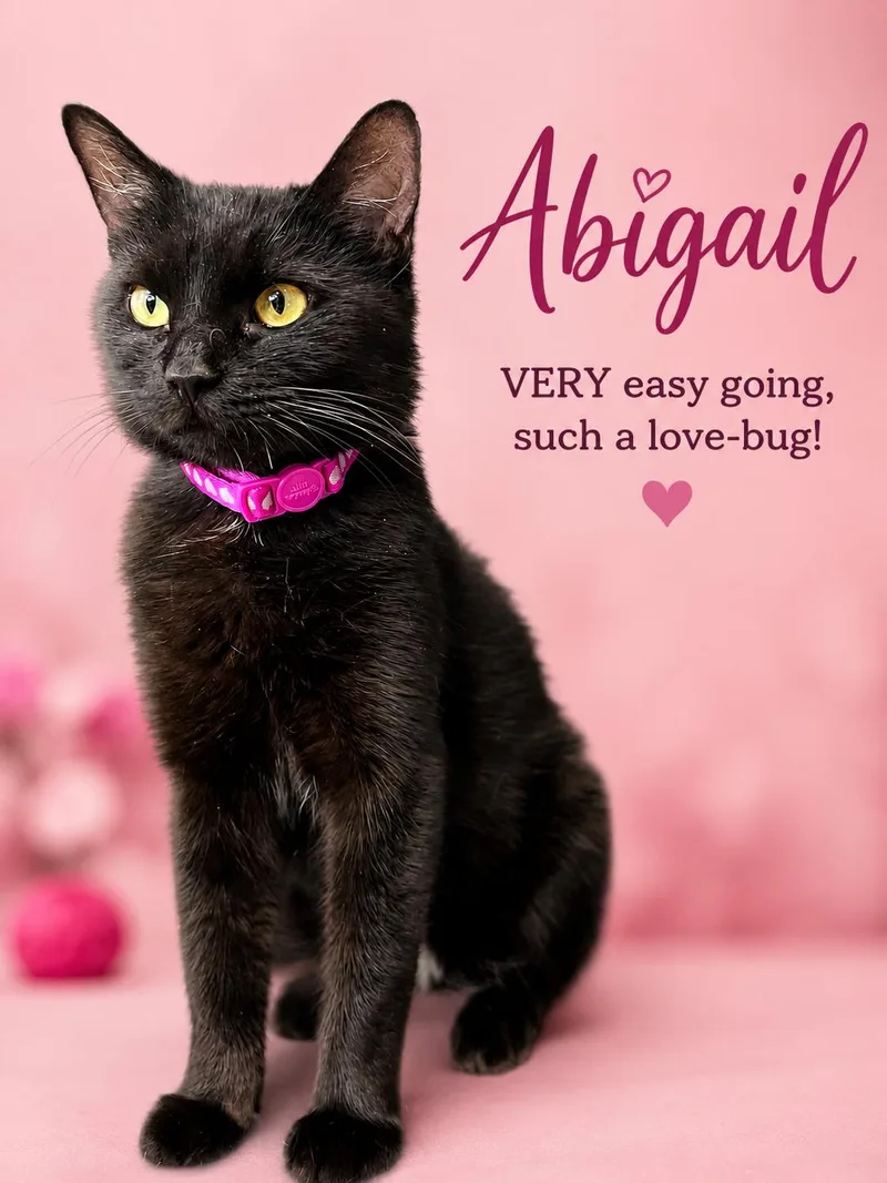 AbigailWillow Grove thumbnail 2