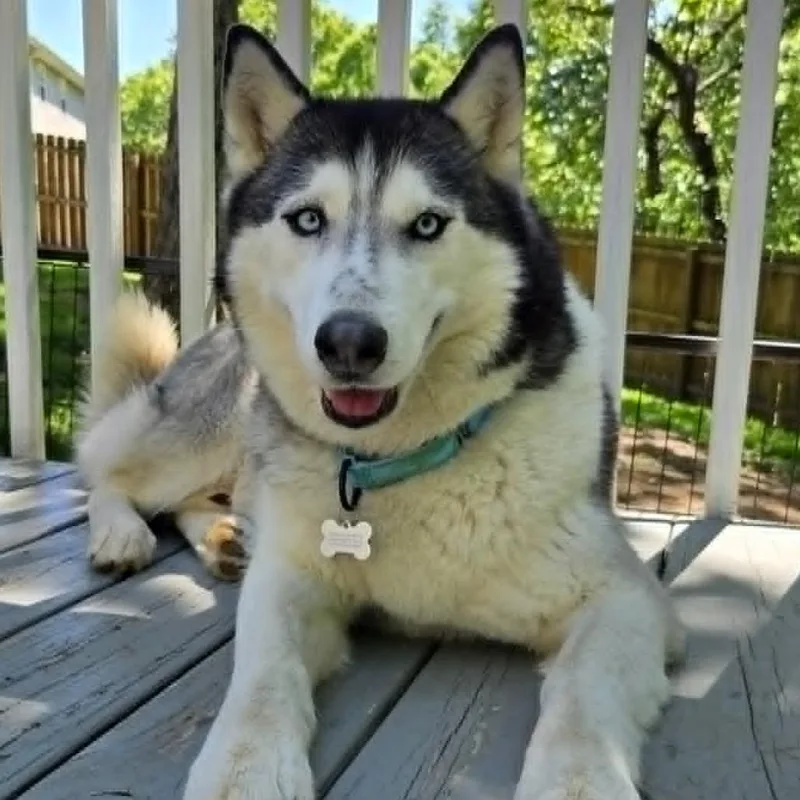 Aspen thumbnail 2