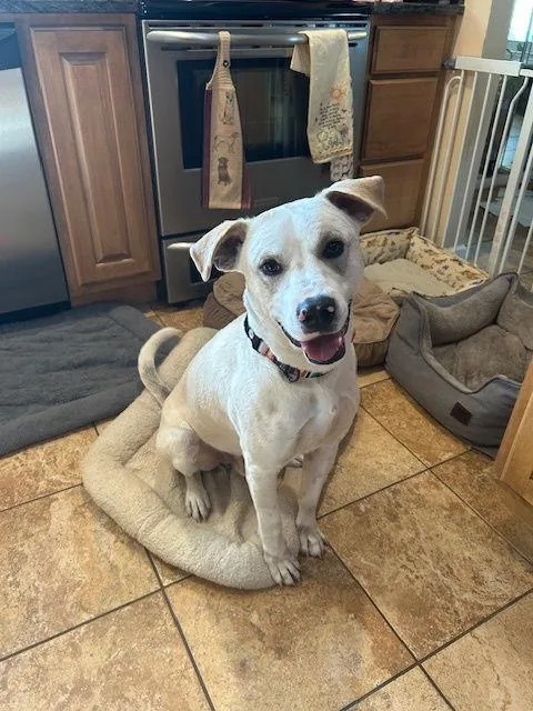 Kirkland thumbnail 2