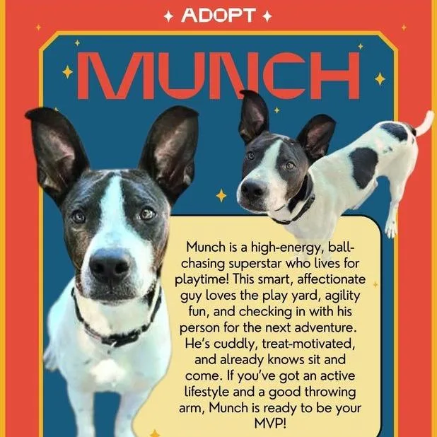 Munch thumbnail 6