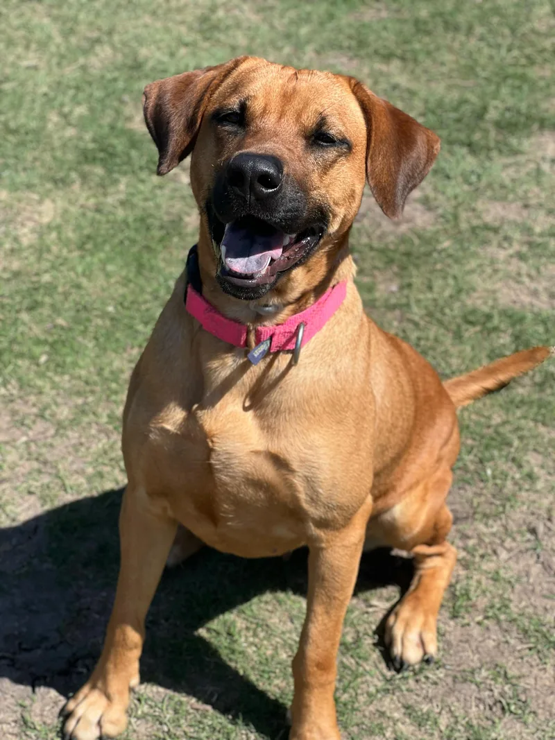 Sunshine thumbnail 2