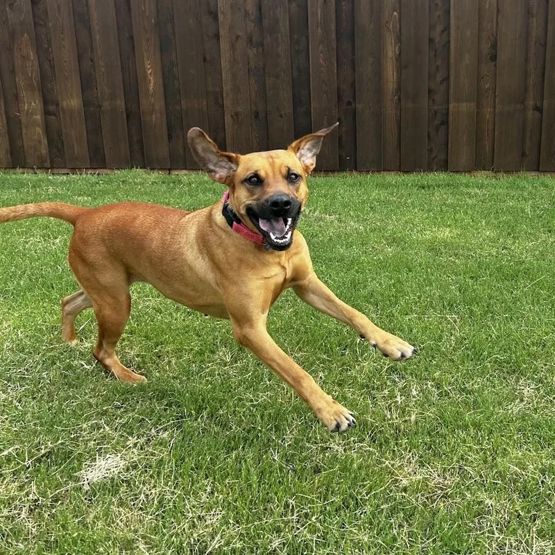 Sunshine thumbnail 3