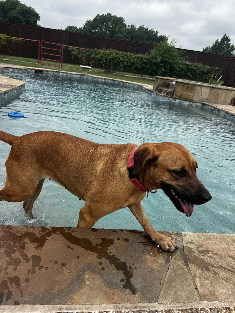 Sunshine thumbnail 4