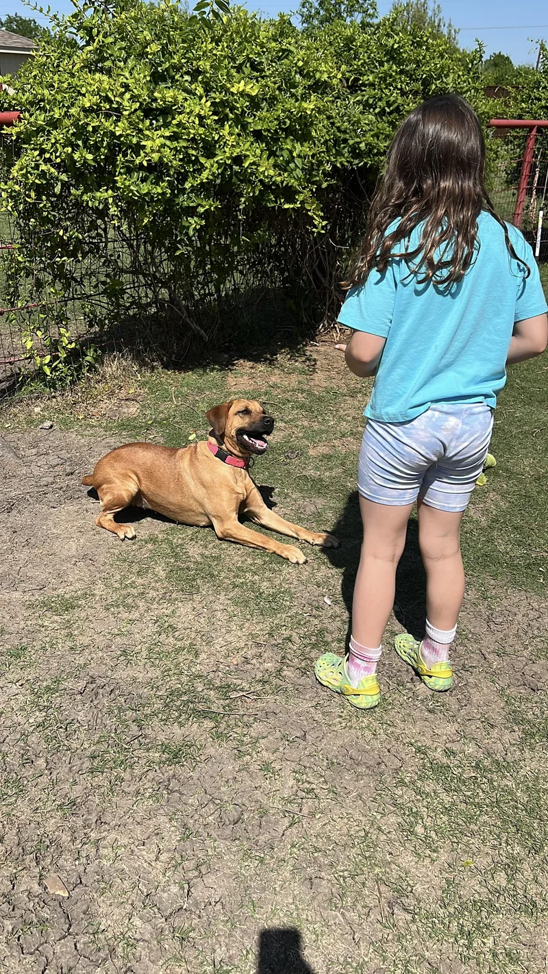 Sunshine thumbnail 5