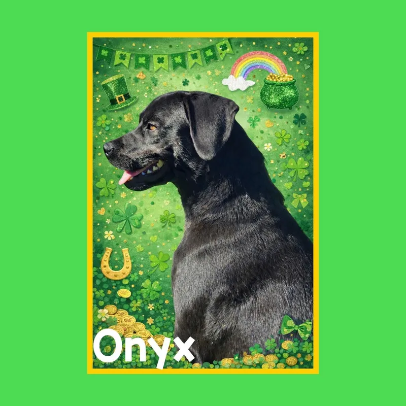 Onyx