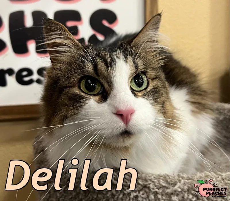 Delilah